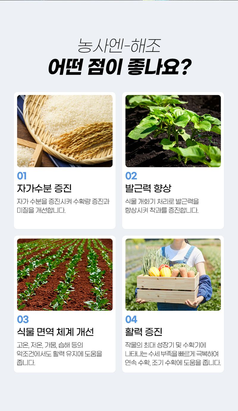 농사엔 공식님의 장터 판매 상품 [(4+2증정) 농사엔 해조 500ml 영양제] 첨부 사진