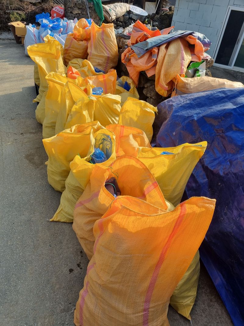 이호성님의 장터 판매 상품 [임산물 모종 ] 첨부 사진