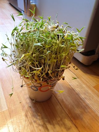 도시부부농부님의 자유주제 · 자유게시판 작성글 사진