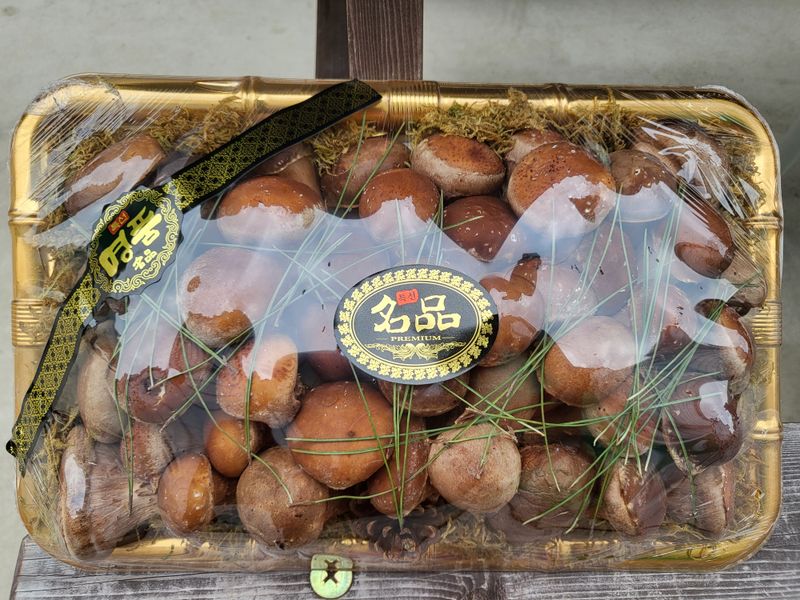 참송이20635님의 장터 판매 상품 [참송이 버섯재배사 매매] 첨부 사진