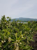 팜모닝 자유주제·자유게시판 게시글 이미지