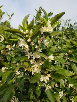 딴딴님의 자유주제 · 자유게시판 작성글 사진