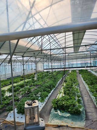 배정준님의 작성글 사진