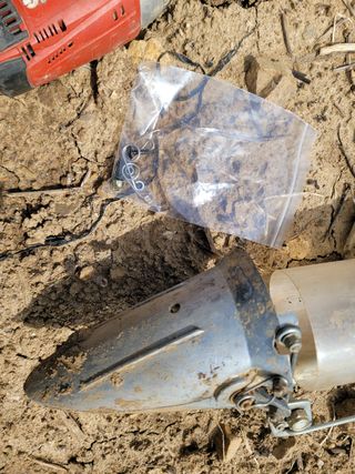 여우내 이순홍님의 고추 · 파종•정식 작성글 사진