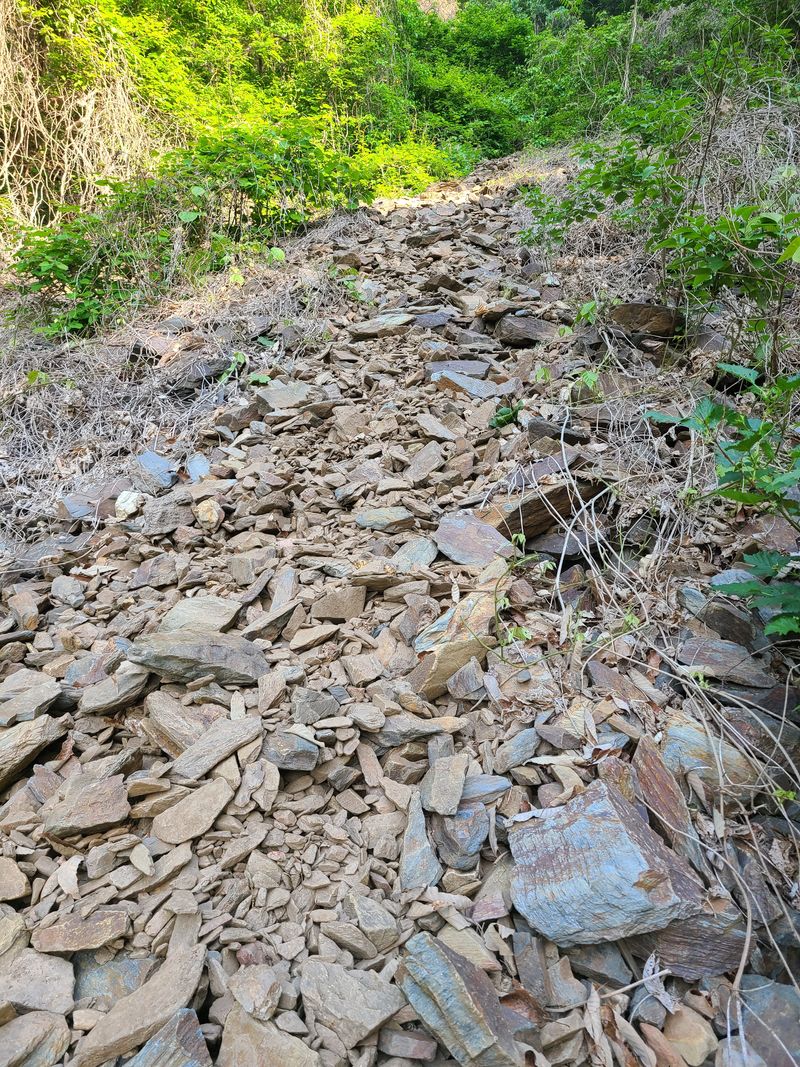 장터 상품 [지네올해첫수학] 썸네일