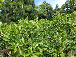 알 수 없음님의 자유주제 · 자유게시판 작성글 사진