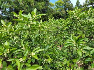 알 수 없음님의 자유주제 · 자유게시판 작성글 사진