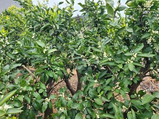 알 수 없음님의 자유주제 · 자유게시판 작성글 사진