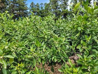 알 수 없음님의 자유주제 · 자유게시판 작성글 사진