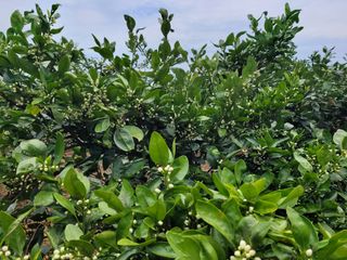 알 수 없음님의 자유주제 · 자유게시판 작성글 사진