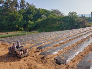 블루아이스님의 자유주제 · 자유게시판 작성글 사진