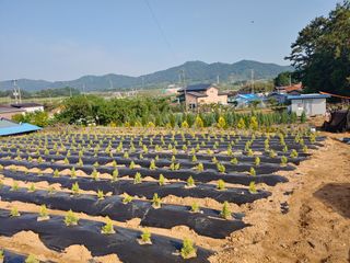 블루아이스님의 자유주제 · 자유게시판 작성글 사진