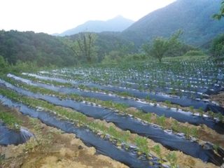 형남영님의 감자 · 자유게시판 작성글 사진