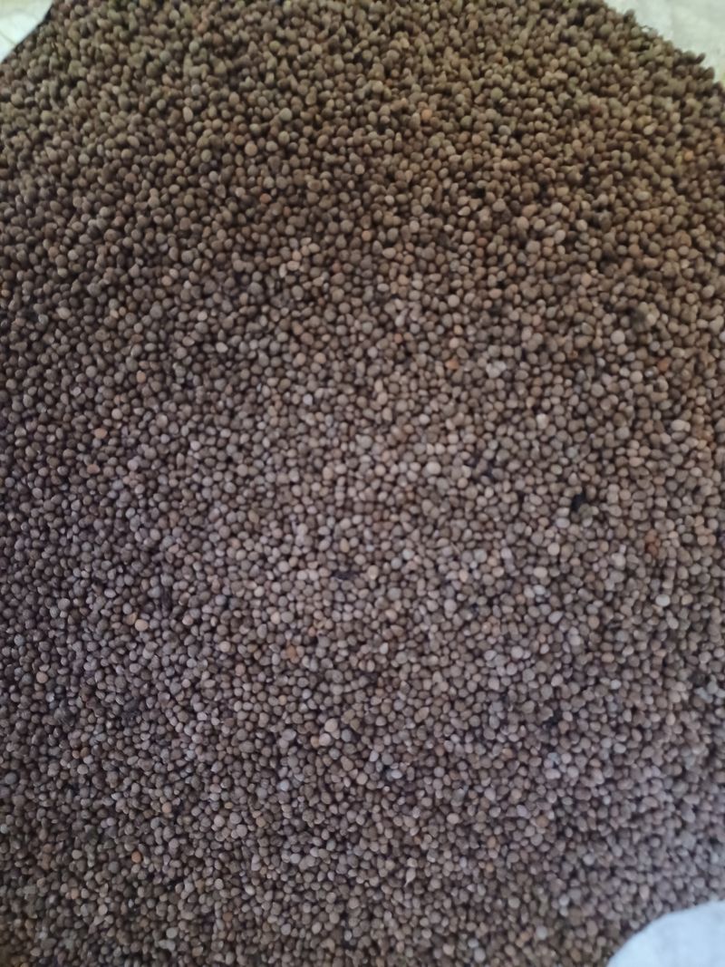 장터 상품 [22년산들깨7kg] 썸네일