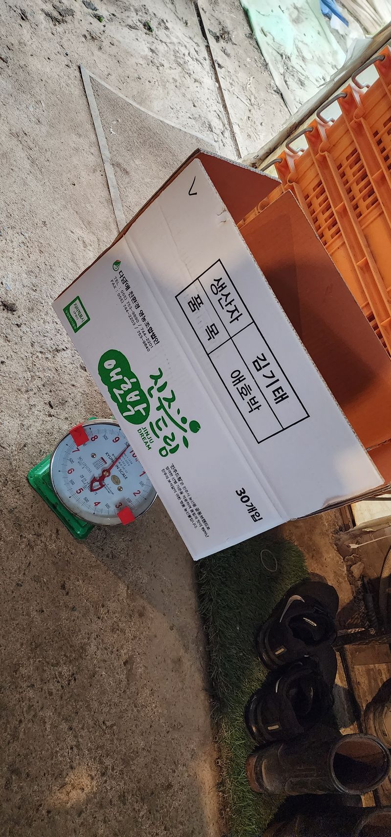 김기태님의 장터 판매 상품 [친환경 무농약 애호박 A품 B품 판매] 첨부 사진