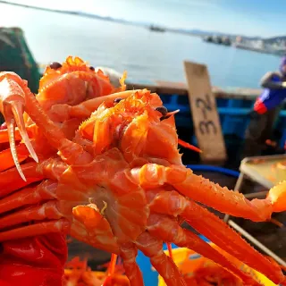 노가네수산님의 우리동네 · 동네정보 작성글 사진