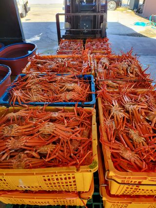 노가네수산님의 우리동네 · 동네정보 작성글 사진