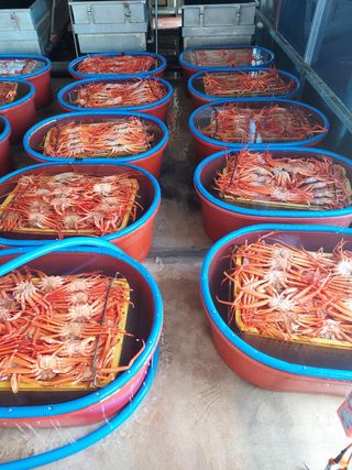 노가네수산님의 우리동네 · 동네정보 작성글 사진