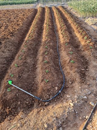 (장수 차행준)님의 자유주제 · 자유게시판 작성글 사진