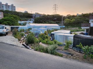 신찬수 님의 기타작물 · 자유게시판 작성글 사진