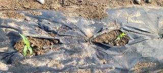 채경희님의 자유주제 · 사진전 작성글 사진