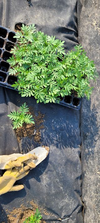 채경희님의 자유주제 · 사진전 작성글 사진