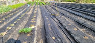 채경희님의 자유주제 · 사진전 작성글 사진