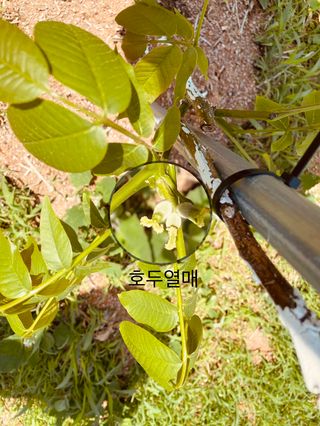 김회철님의 기타작물 · 자유게시판 작성글 사진