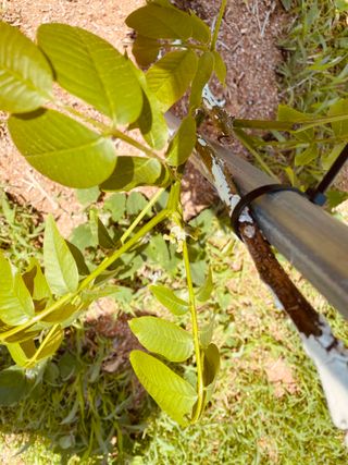 김회철님의 기타작물 · 자유게시판 작성글 사진