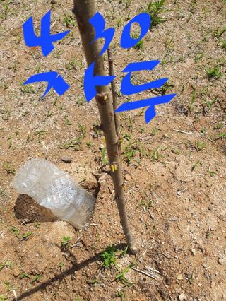 김회철님의 기타작물 · 자유게시판 작성글 사진