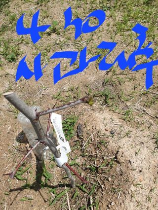 김회철님의 기타작물 · 자유게시판 작성글 사진