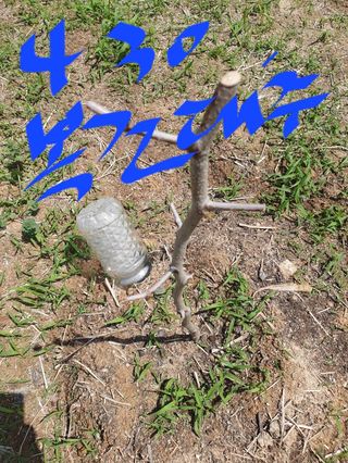 김회철님의 기타작물 · 자유게시판 작성글 사진