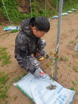 김회철님의 기타작물 · 자유게시판 작성글 사진