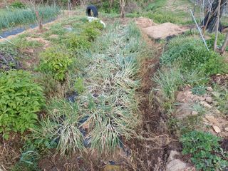 정규상님의 자유주제 · 자유게시판 작성글 사진