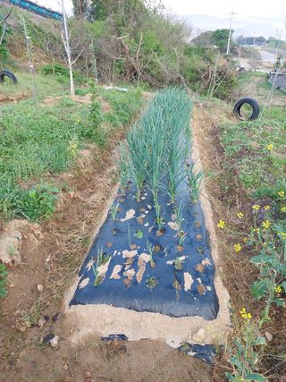 정규상님의 자유주제 · 자유게시판 작성글 사진