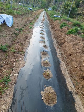 정규상님의 자유주제 · 자유게시판 작성글 사진