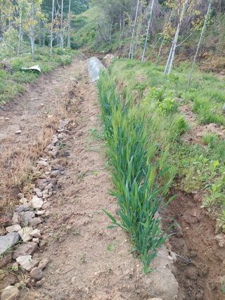 정규상님의 자유주제 · 자유게시판 작성글 사진