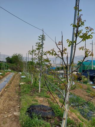 정규상님의 자유주제 · 자유게시판 작성글 사진
