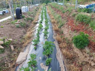 정규상님의 자유주제 · 자유게시판 작성글 사진