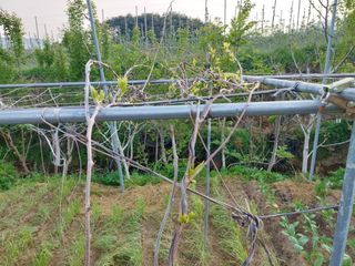 정규상님의 자유주제 · 자유게시판 작성글 사진