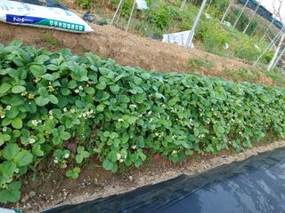 정규상님의 자유주제 · 자유게시판 작성글 사진