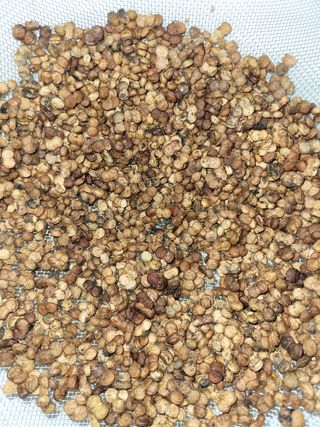 열정농원님의 자유주제 · 자유게시판 작성글 사진