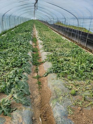 빛그린 김용화님의 자유주제 · 자유게시판 작성글 사진