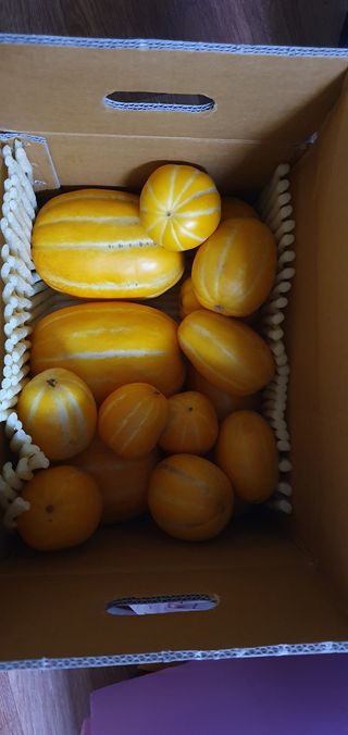 팜모닝회원 성주 님의 우리동네 · 동네자랑 작성글 사진