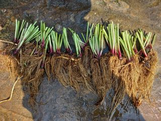 손미진 님의 자유주제 · 자유게시판 작성글 사진