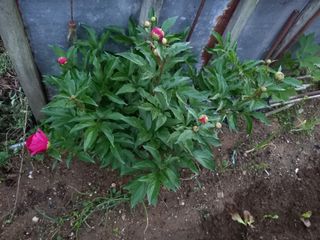 손미진 님의 자유주제 · 자유게시판 작성글 사진