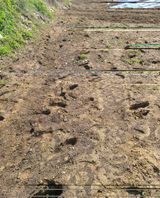 팜모닝 기타작물·자유게시판 게시글 이미지