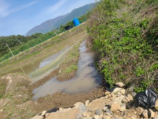 전재문님의 기타작물 · 자유게시판 작성글 사진