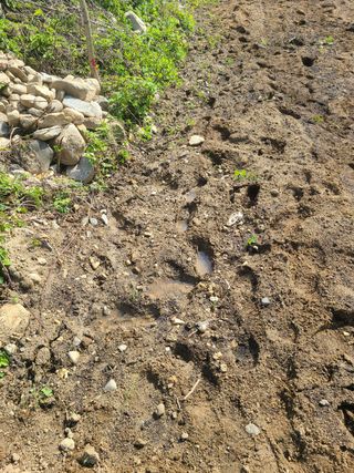 전재문님의 기타작물 · 자유게시판 작성글 사진