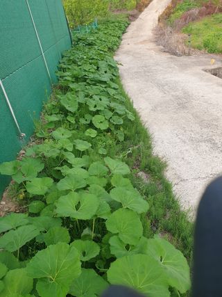 둥시감님의 자유주제 · 자유게시판 작성글 사진